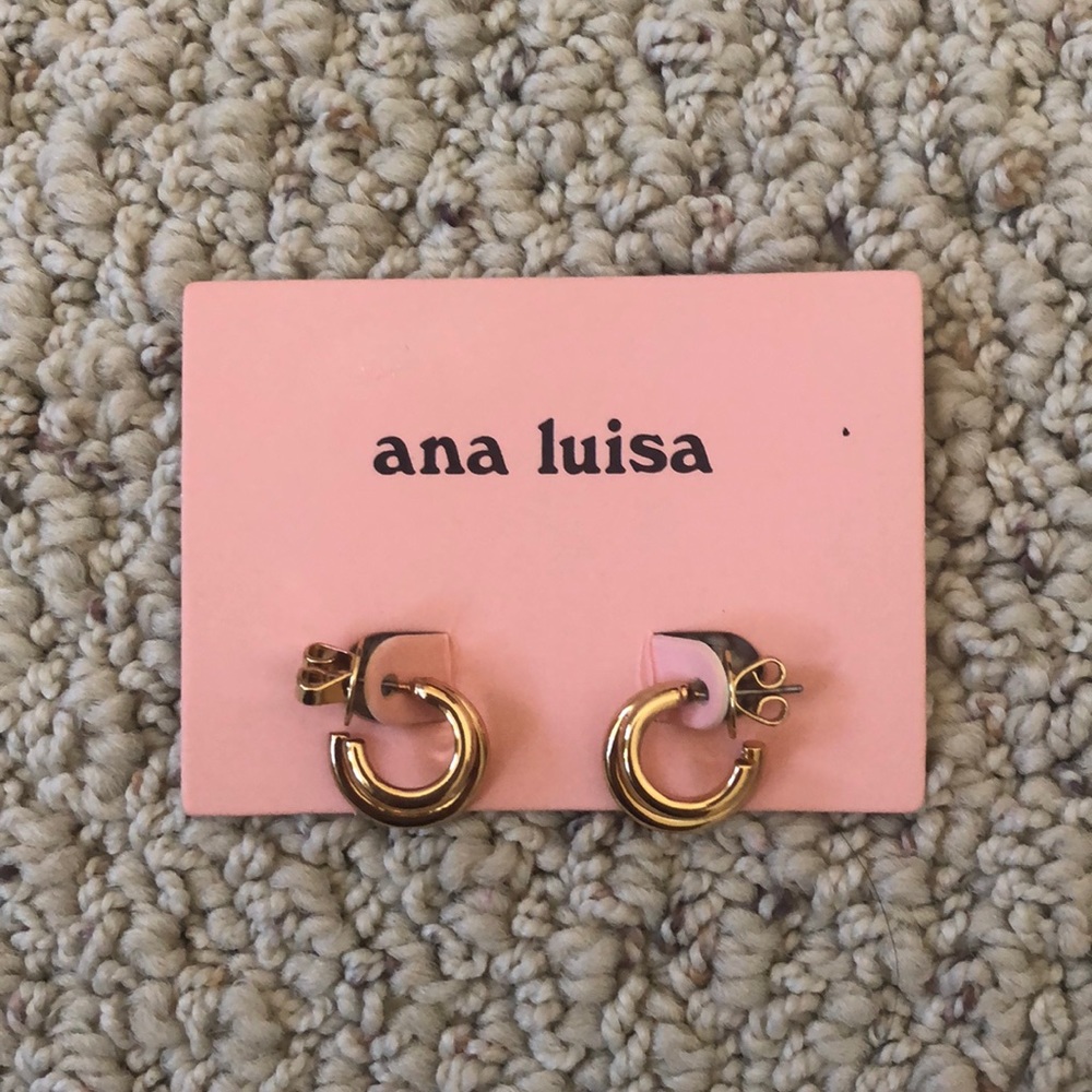 Ana Luisa Hypoallergenic Scarlett Hoop Earrings